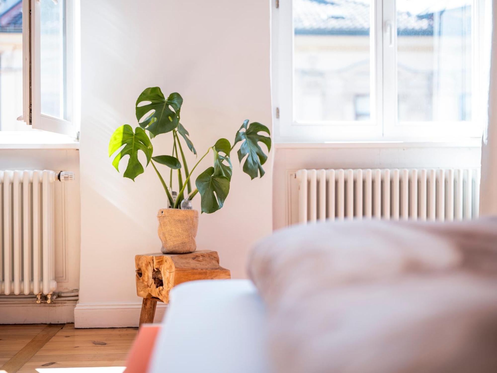 Bunter Hund Apartments - Balkon, Zentral, Geraeumig 밤베르크 외부 사진